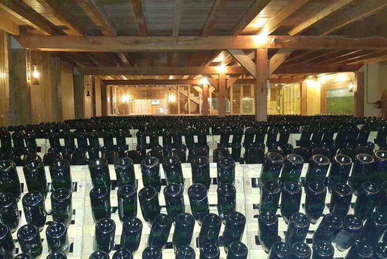 Tour Enogastronômico em Pinto Bandeira: Vinhos, História e Paisagens Incríveis!