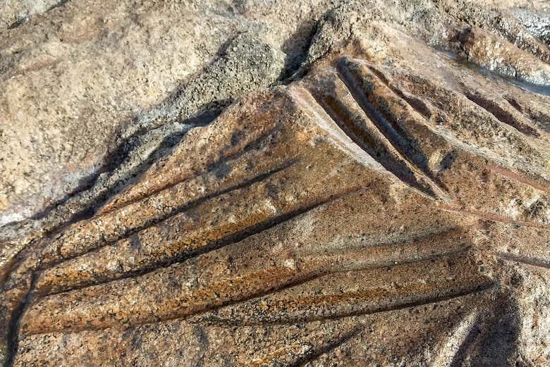 Trilha pelo Farol de Imbituba: Descubra a História e Beleza de Santa Catarina!