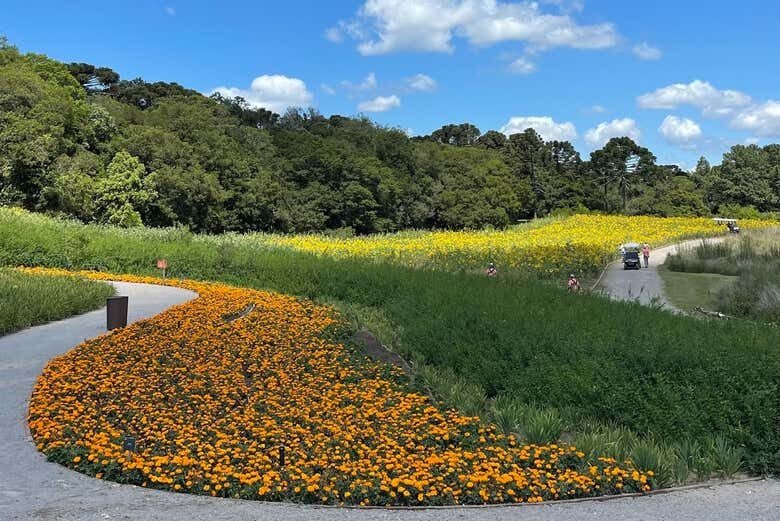 Excursão a São Francisco de Paula: Natureza, Livros e Flores!