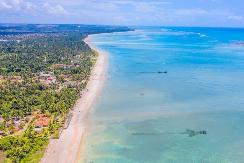 Excursão Privada a Maragogi: Descubra o Caribe Brasileiro!