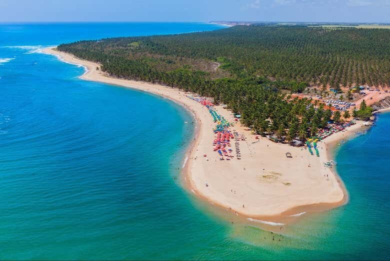 Excursão à Praia do Gunga: Um Dia Inesquecível no Paraíso Tropical!