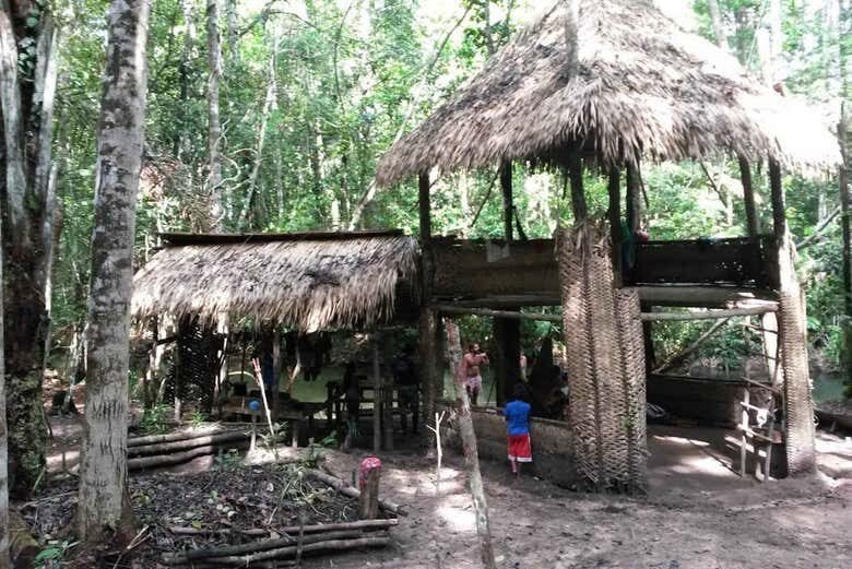 Amazônia Viva: Tour pela Enseada do Amorim e Igapós Amazônicos!