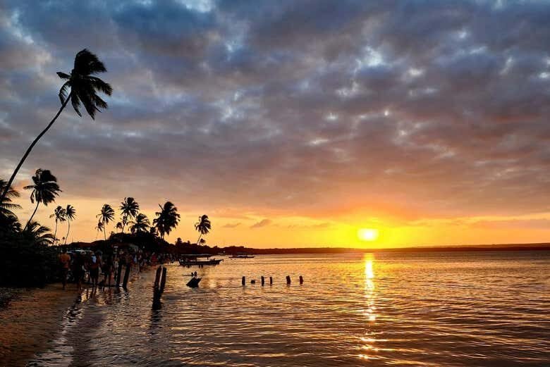 Desbrave a Barra de Mamanguape: Um Refúgio Natural na Paraíba!