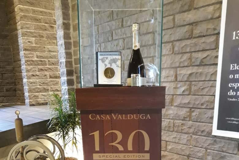 Excursão a Bento Gonçalves e Garibaldi saindo de Cambará do Sul!