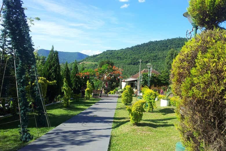 Tour dos Cactos, Abelhas e Conventos: um dia de descobertas incríveis saindo de Caxias do Sul!