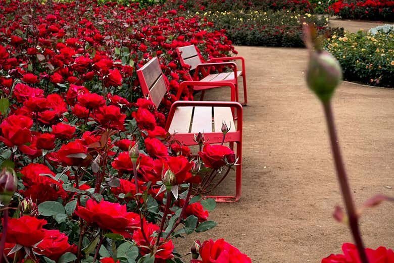 Encante-se com o MÁTRIA Parque de Flores em São Francisco de Paula!