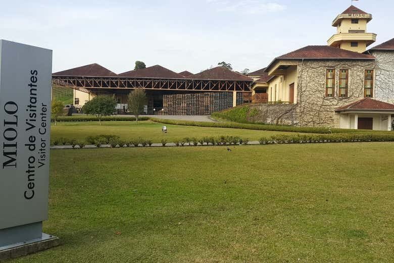 Sabores da Serra: Tour ao Vale dos Vinhedos saindo de Caxias do Sul!