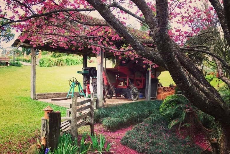 Tour Cultural e Vinícola em Vila Flores e Veranópolis – A Capital da Longevidade!