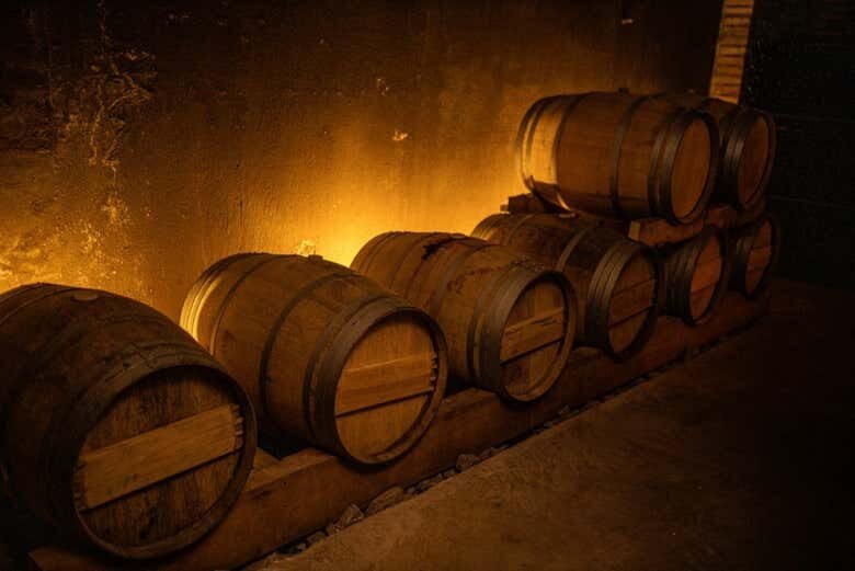 Tour Cultural e Vinícola em Vila Flores e Veranópolis – A Capital da Longevidade!