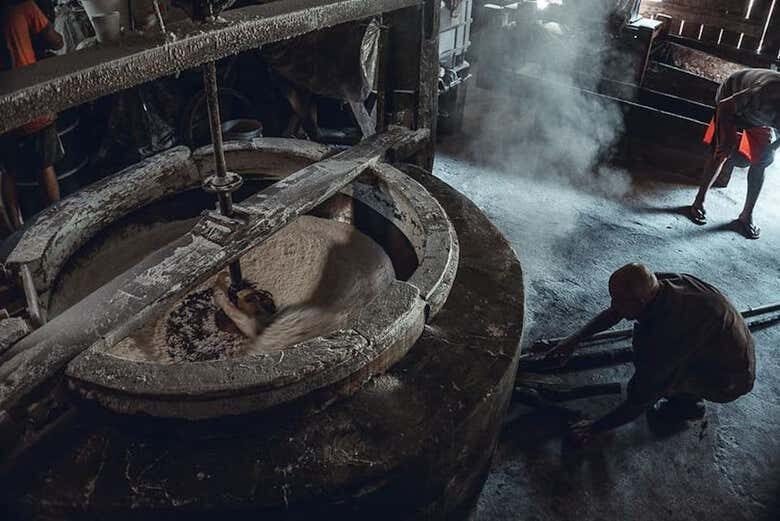 Explore Garopaba: Um Tour Completo pela História e Cachaça Artesanal!