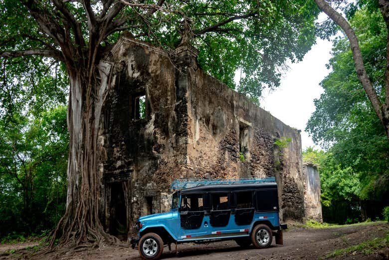 Excursão a Lucena e Falésias de Bonsucesso!
