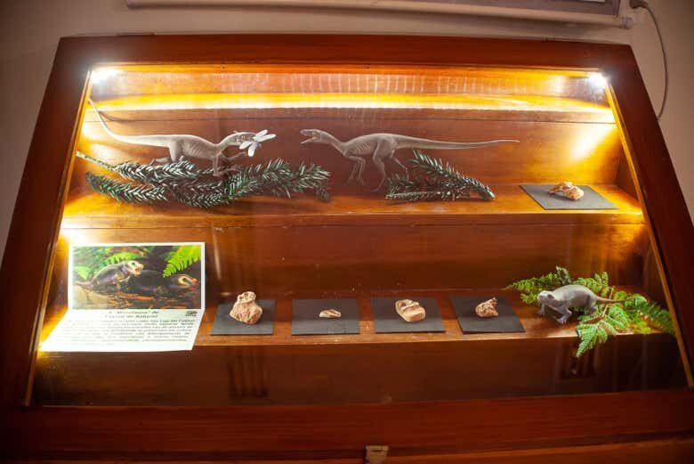 Viagem ao Mundo dos Dinossauros: Tour Paleontológico na Quarta Colônia!