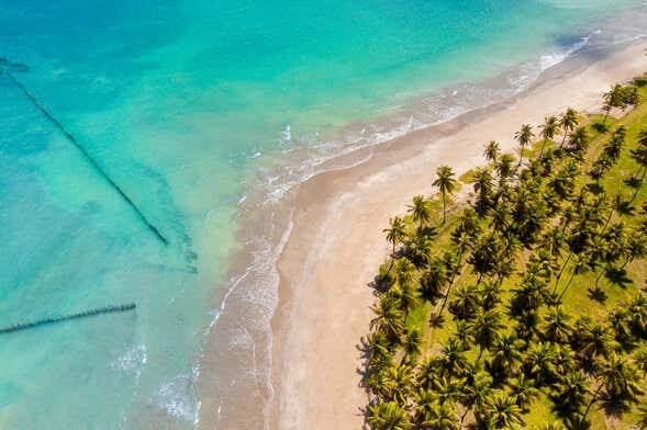 Explore as Maravilhas do Caribe Brasileiro: Mirante da Sereia, Ipioca e Paripueira!
