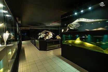 Tour Navegantes, Penha e Piçarras: Natureza, Cultura e Diversão!