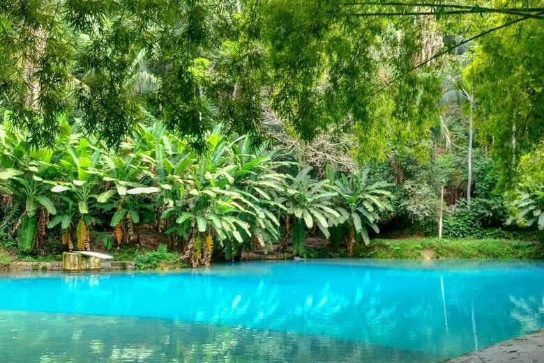 Excursão Privada ao Santuário Ecológico Santa Tereza: Conexão com a Natureza!