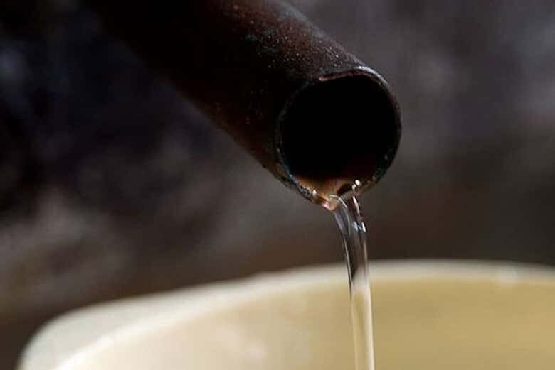 Explore Garopaba: Um Tour Completo pela História e Cachaça Artesanal!