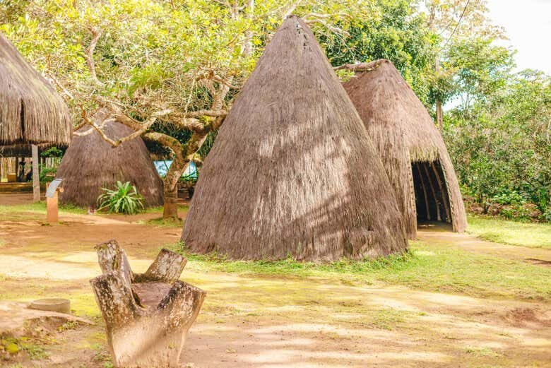 Excursão Cultural ao Quilombo dos Palmares: Um Mergulho na História Afro-brasileira