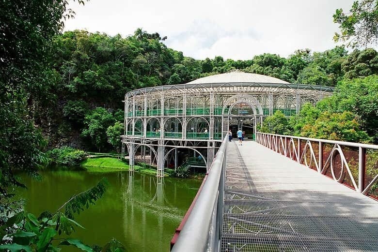 Tour Panorâmico por Curitiba: Natureza, Cultura e Arquitetura em 4 Horas!