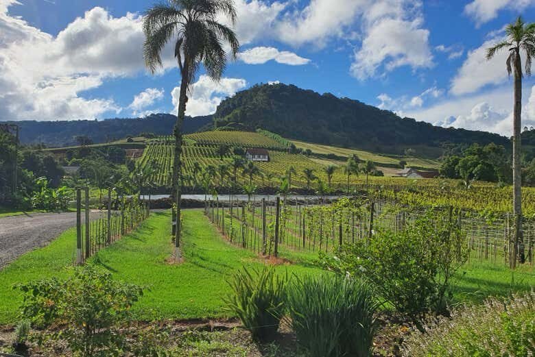 Pedal Rural com Degustação em Nova Petrópolis!
