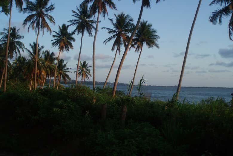 Explore as Belezas Naturais: Tour pelo Pontal da Barra e Lagoas Mundaú e Manguaba
