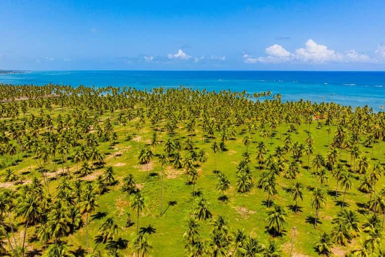 Explore as Maravilhas do Caribe Brasileiro: Mirante da Sereia, Ipioca e Paripueira!