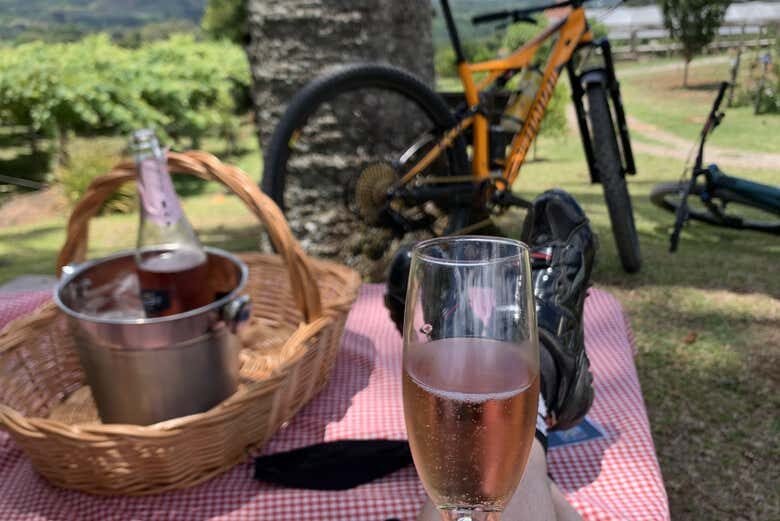 Pedal Rural com Degustação em Nova Petrópolis!