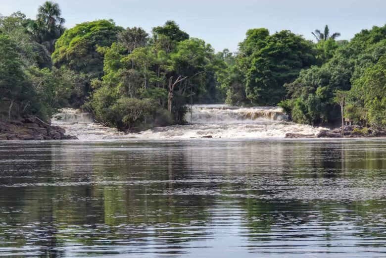 Expedição Amazônica pelo Rio Arapiuns: 5 Dias de Imersão na Natureza!