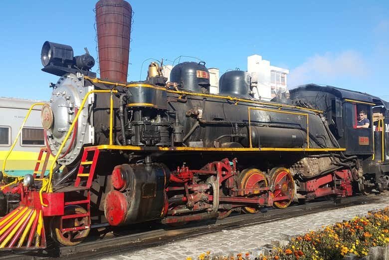 Trilhos, Vinhos e Histórias: Tour de Maria Fumaça + Vinícola em Bento Gonçalves!