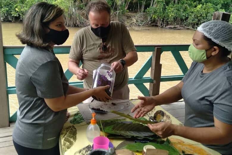 Passeio de Barco pela Ilha do Combú: Natureza e Chocolate Amazônico!