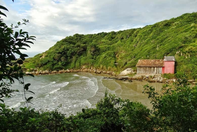 Descubra as Praias Secretas de Imbituba: Trilha da Praia dos Amores à Praia D'Água!