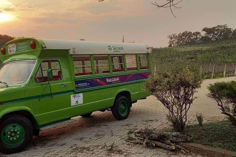 Tour do Vinho por Caxias do Sul e Flores da Cunha!