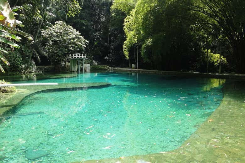 Excursão Privada ao Santuário Ecológico Santa Tereza: Conexão com a Natureza!