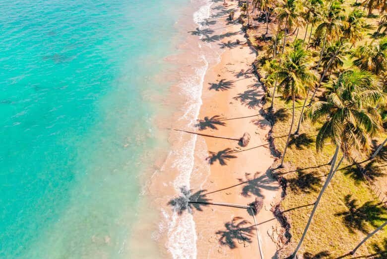 Explore as Maravilhas do Caribe Brasileiro: Mirante da Sereia, Ipioca e Paripueira!