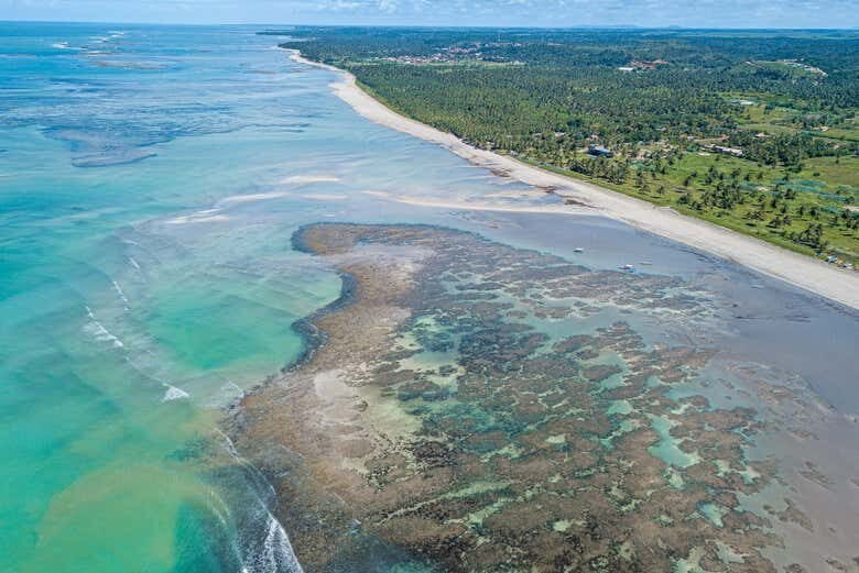 Descubra as Belezas de São Miguel dos Milagres com Tour Personalizado!