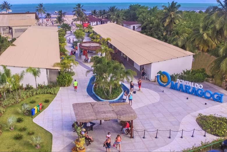 Explore o Paraíso Tropical de Maragogi em uma Incrível Excursão de Maceió