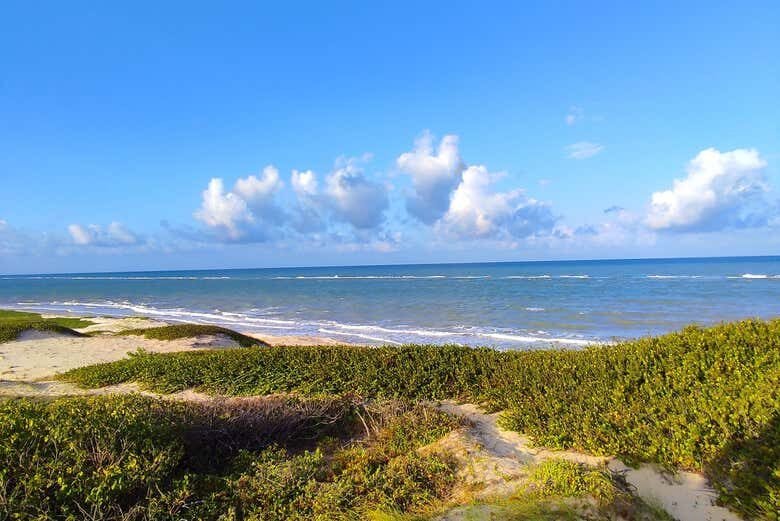 Desbrave a Barra de Mamanguape: Um Refúgio Natural na Paraíba!
