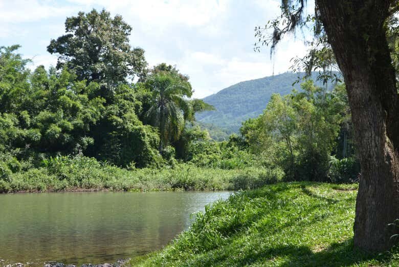Aventuras no Rio Três Forquilhas de Caiaque!