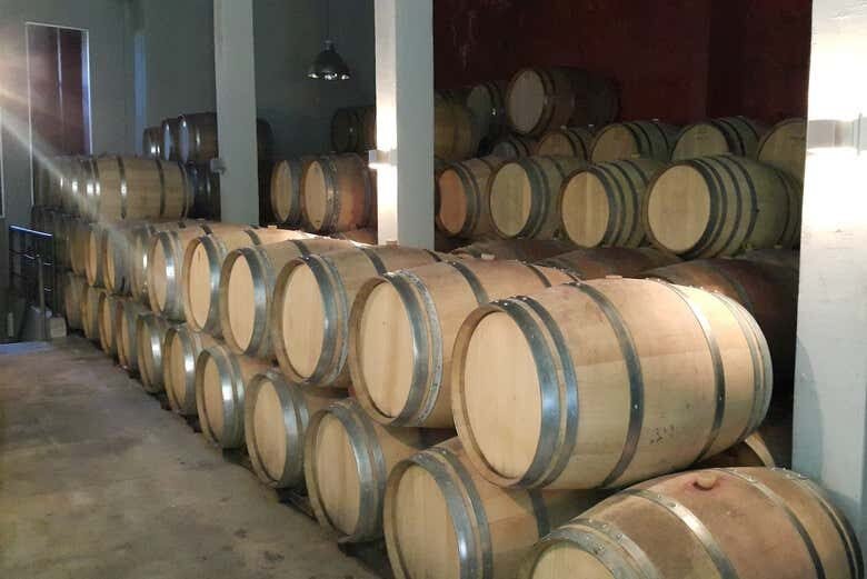 Sabores da Serra: Tour ao Vale dos Vinhedos saindo de Caxias do Sul!