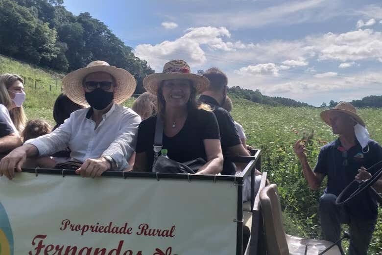 Experiência Única em uma Vindima em Flores da Cunha!