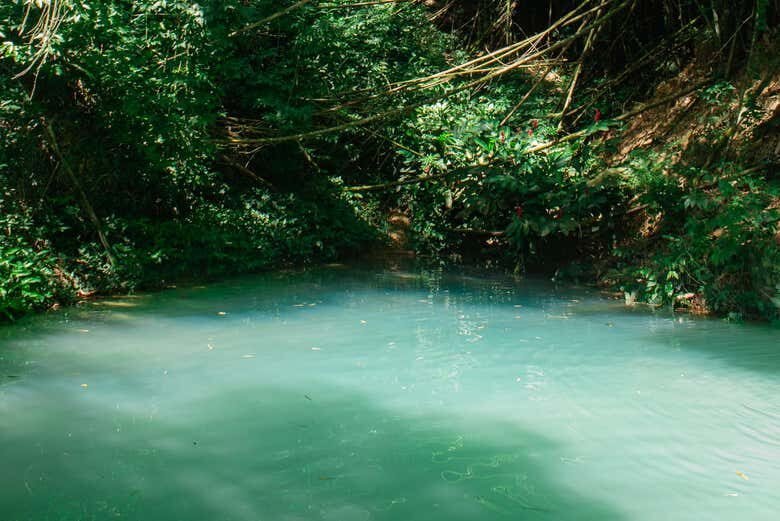 Excursão Privada ao Santuário Ecológico Santa Tereza: Conexão com a Natureza!