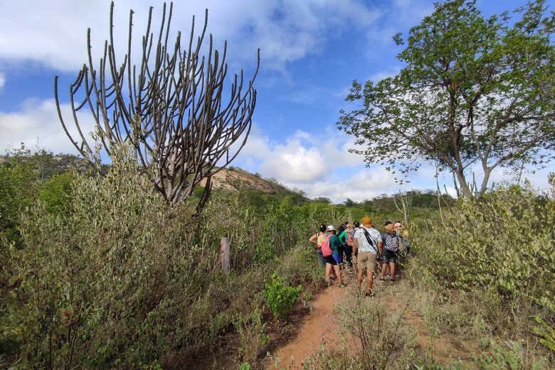 Explore a Única Caatinga Brasileira em uma Inesquecível Excursão de 2 Dias!