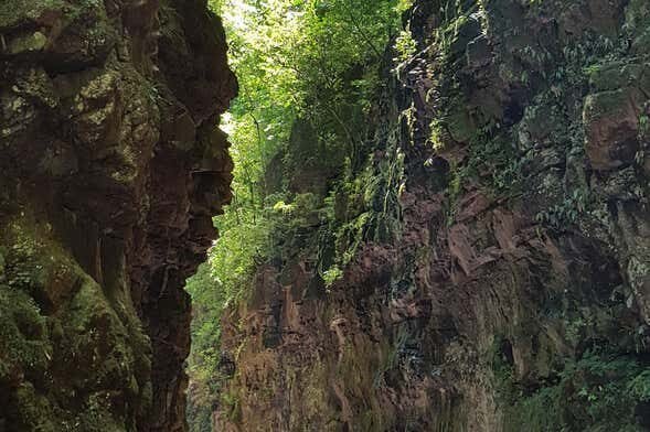 Trilha do Gavião: Aventura e Cachoeira em Três Coroas!