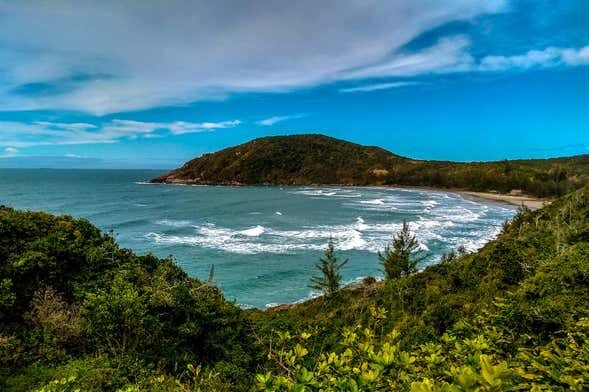 Aventura Imperdível: Trilha entre a Praia do Rosa e a Praia da Ferrugem!