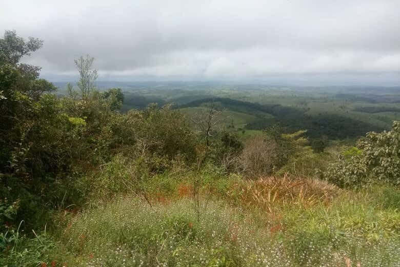 Exploração na Natureza de Alagoas: Excursão a Chã Preta e Serra Lisa!