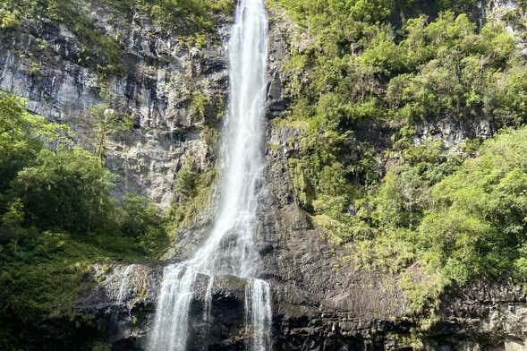 Tour de 4x4 à Cachoeira da Pedra Branca e Piquenique!