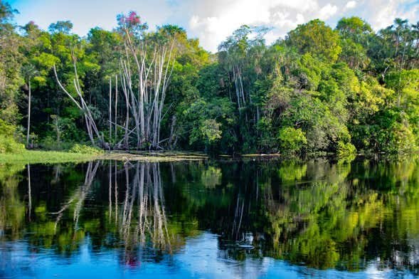 Expedição Amazônica pelo Rio Arapiuns: 5 Dias de Imersão na Natureza!