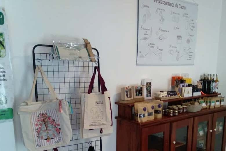 Passeio de Barco pela Ilha do Combú: Natureza e Chocolate Amazônico!