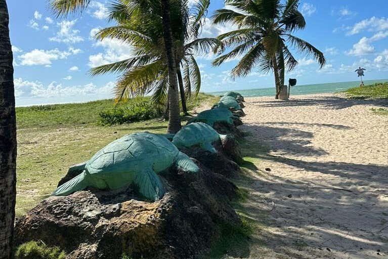 Explore o Litoral Norte da Paraíba com um Passeio de Buggy Incrível!