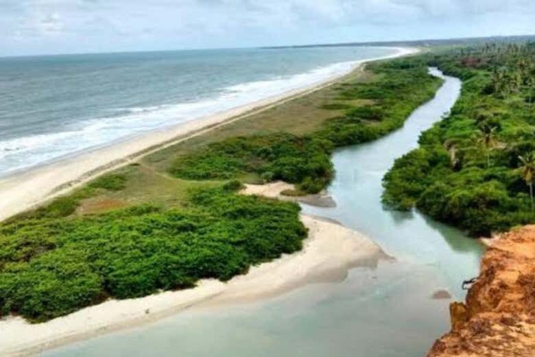 Explore o Litoral Norte da Paraíba com um Passeio de Buggy Incrível!