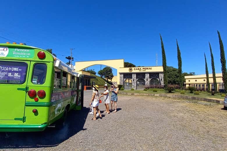 Vinhos, Tradição e Encantos do Vale Trentino na Serra Gaúcha!